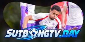 Dự Đoán Trận Fiorentina Vs Atalanta 02h45 30/10